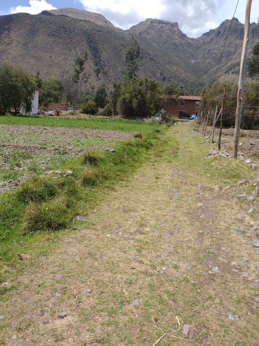 WhatsApp Image 2023-11-10 at 2.44